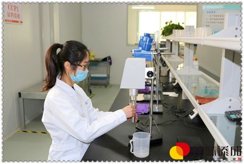 木瓜汁保健飲料配方開發(fā)與專業(yè)加工技術(shù)轉(zhuǎn)讓